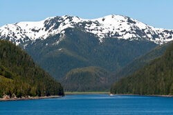 Tongass National Rain Forest