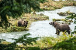 Kodiak, Alaska