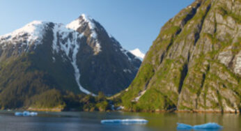 Cruise Tracy Arm Fjord, Alaska